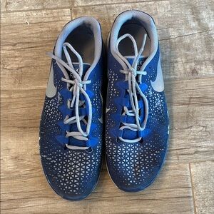 Nike Free 3.0 Blue Athletic Shoes